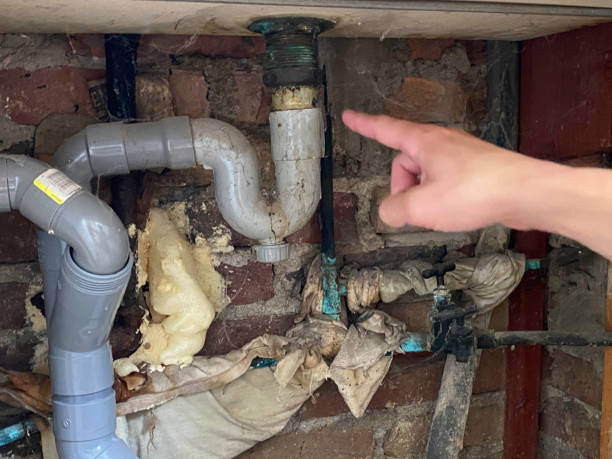 Altoona, IA Water damage restoration Pros